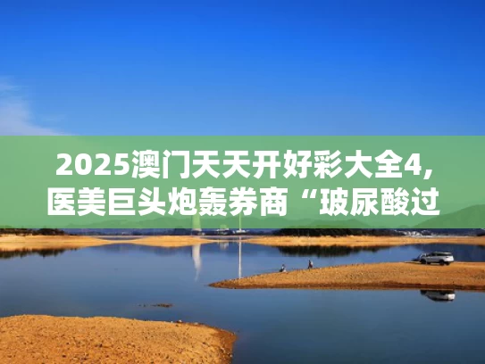 2025澳门天天开好彩大全4,医美巨头炮轰券商“玻尿酸过时”论