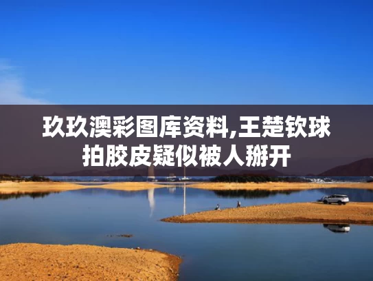 玖玖澳彩图库资料,王楚钦球拍胶皮疑似被人掰开