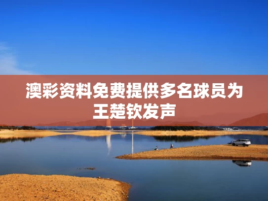 澳彩资料免费提供	多名球员为王楚钦发声