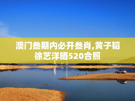 澳门叁期内必开叁肖,黄子韬徐艺洋晒520合照