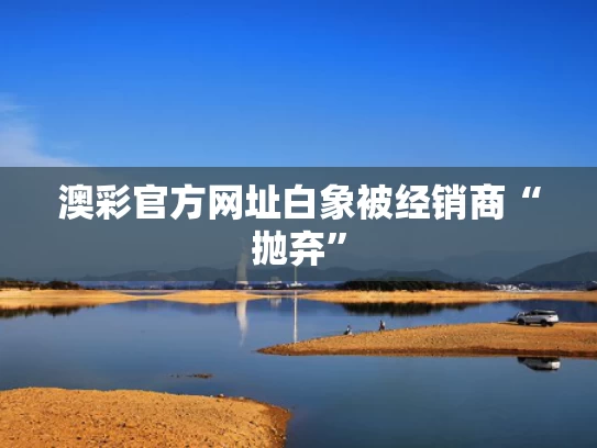 澳彩官方网址	白象被经销商“抛弃”