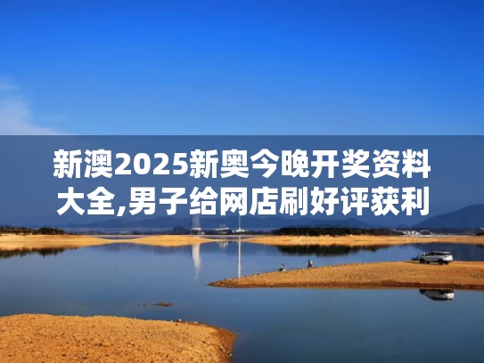 新澳2025新奥今晚开奖资料大全,男子给网店刷好评获利780万被判刑