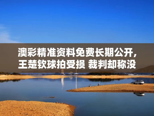 澳彩精准资料免费长期公开,王楚钦球拍受损 裁判却称没关系