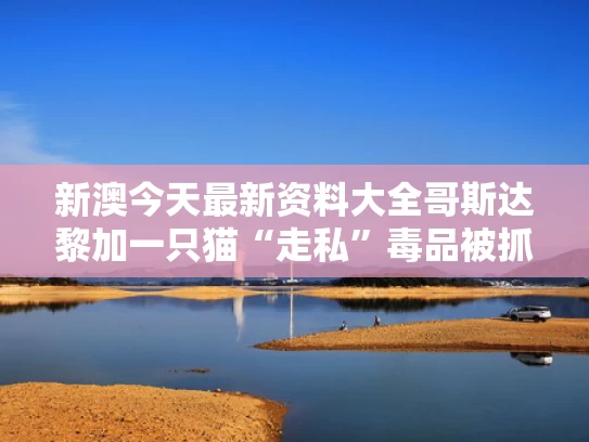 新澳今天最新资料大全	哥斯达黎加一只猫“走私”毒品被抓