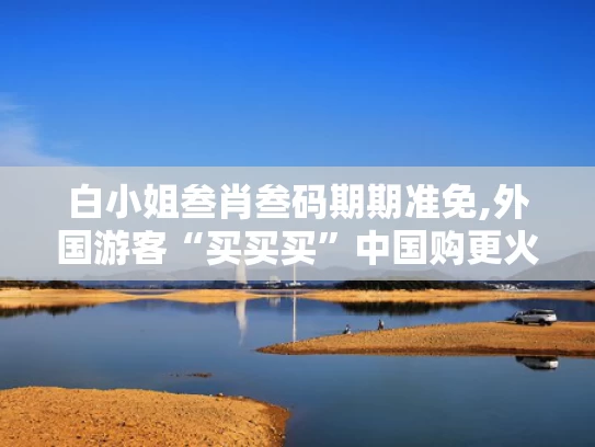 白小姐叁肖叁码期期准免,外国游客“买买买”中国购更火了