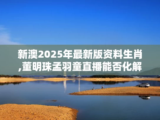 新澳2025年最新版资料生肖,董明珠孟羽童直播能否化解营收焦虑