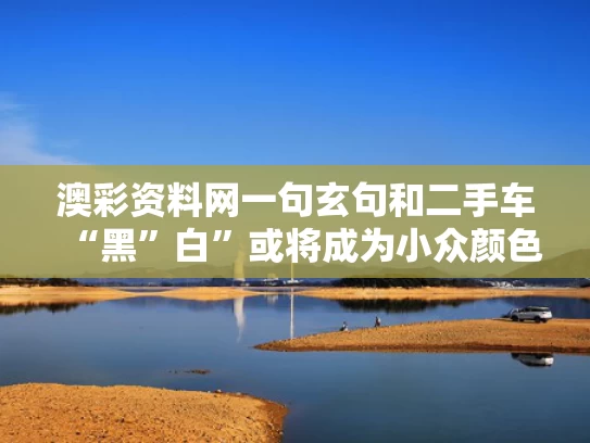 澳彩资料网一句玄句	和二手车“黑”白”或将成为小众颜色与