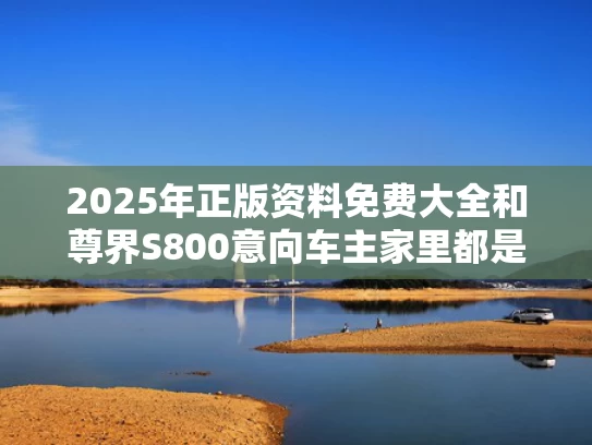 2025年正版资料免费大全	和尊界S800意向车主家里都是什么车与