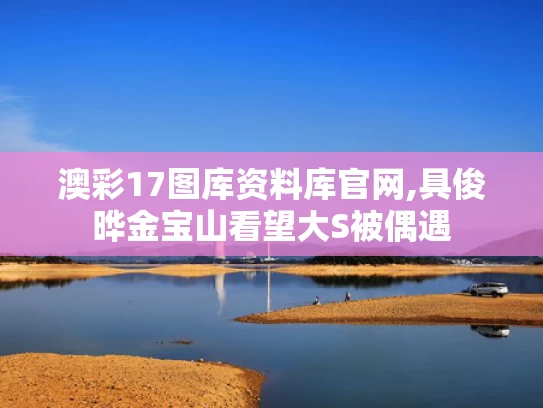 澳彩17图库资料库官网,具俊晔金宝山看望大S被偶遇