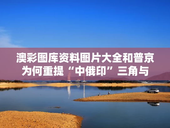 澳彩图库资料图片大全	和普京为何重提“中俄印”三角与