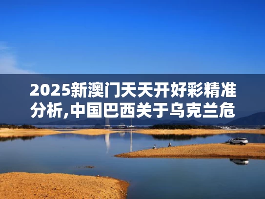 2025新澳门天天开好彩精准分析,中国巴西关于乌克兰危机的联合声明