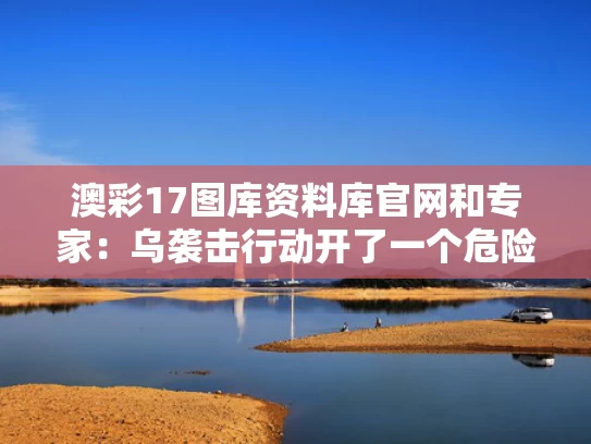 澳彩17图库资料库官网和专家：乌袭击行动开了一个危险先例与袭击乌巢是谁的计谋