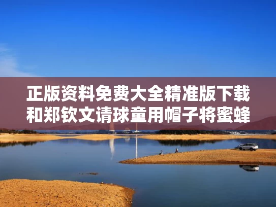 正版资料免费大全精准版下载和郑钦文请球童用帽子将蜜蜂送离场地与