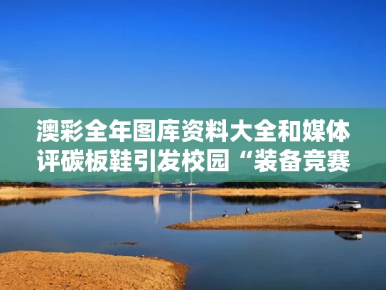 澳彩全年图库资料大全	和媒体评碳板鞋引发校园“装备竞赛”与