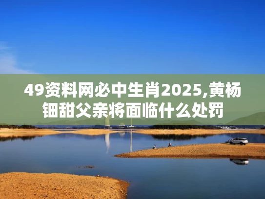 49资料网必中生肖2025,黄杨钿甜父亲将面临什么处罚