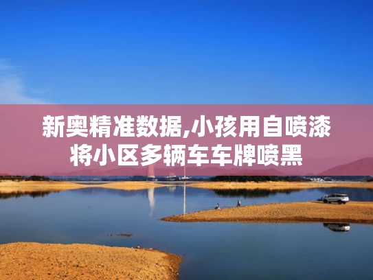 新奥精准数据,小孩用自喷漆将小区多辆车车牌喷黑