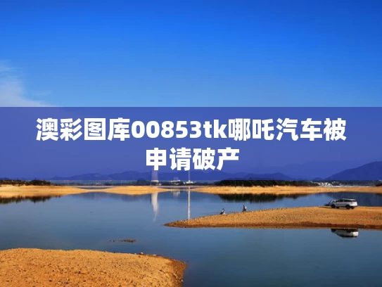 澳彩图库00853tk	哪吒汽车被申请破产