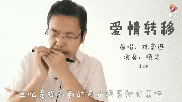 爱情呼叫转移,（爱情呼叫转移歌曲）