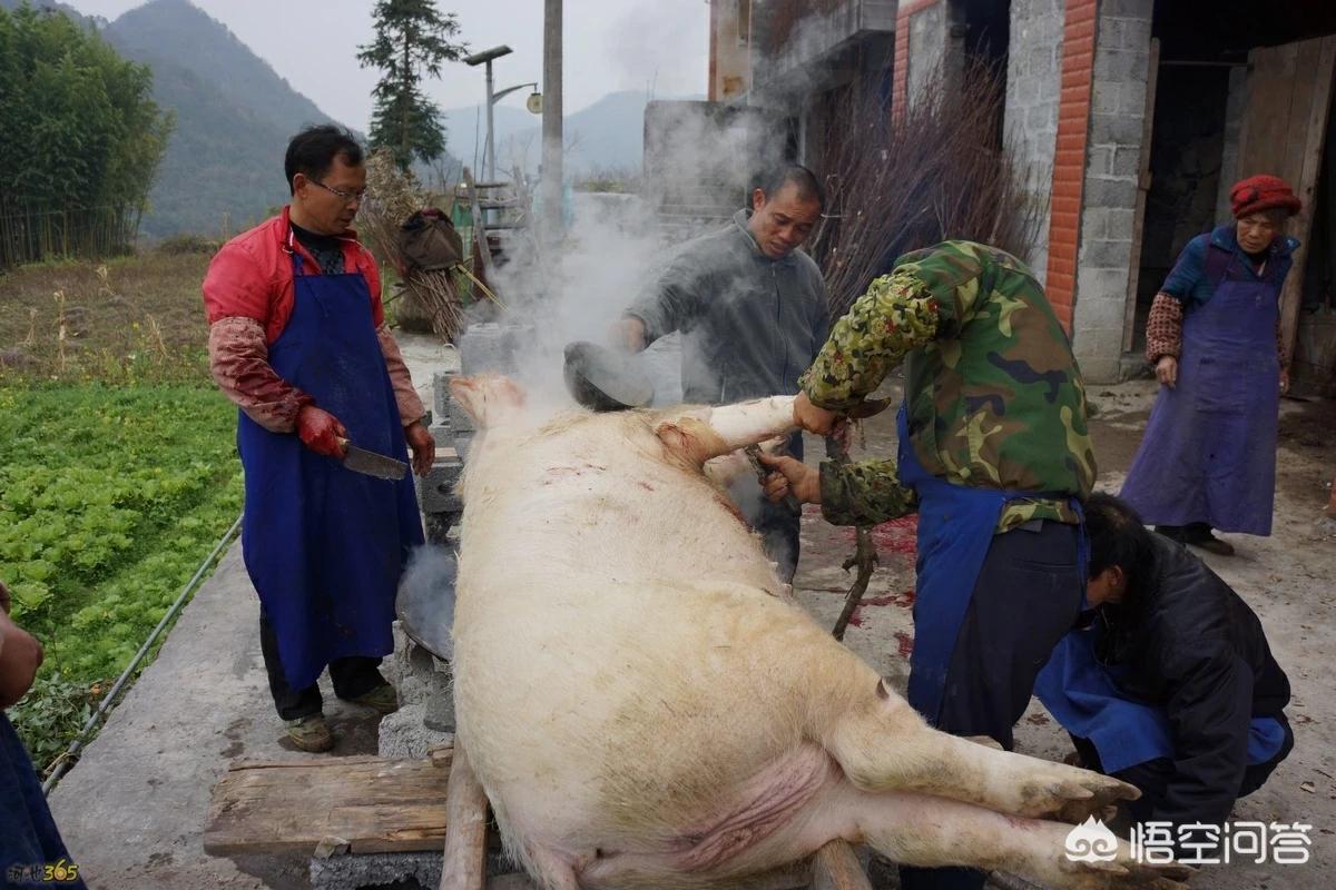 舌尖上的新年在线观看超清,（舌尖上的新年免费观看超清）