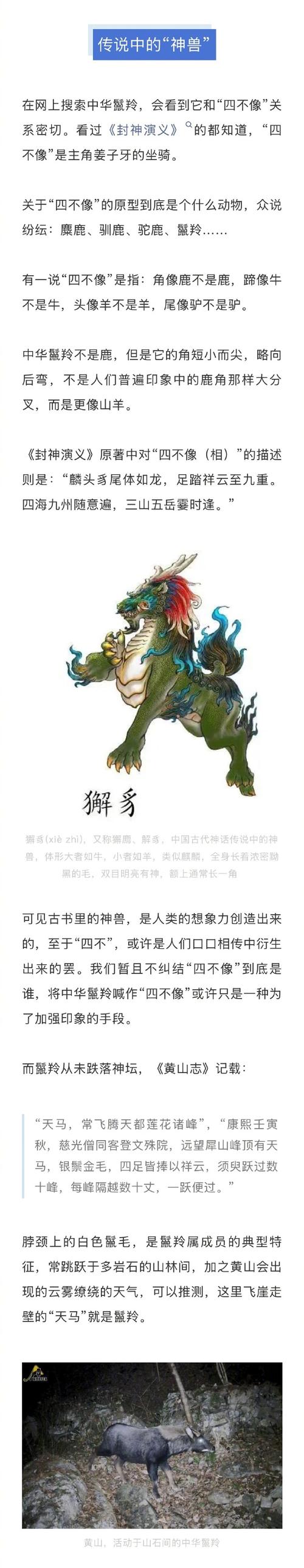 今晚澳门特马开什么今晚四不像,（请发过今晚澳门特马动物图片）