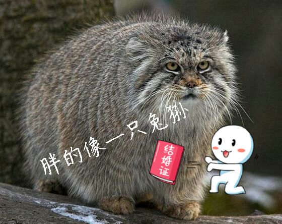 被窝电影网午夜,（被窝电影网午夜第一页）