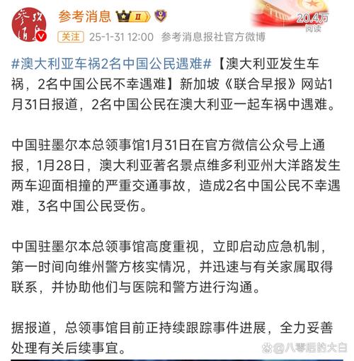新澳2025今晚特马开奖结果和韩国坠机致4人遇难与韩国坠机事件