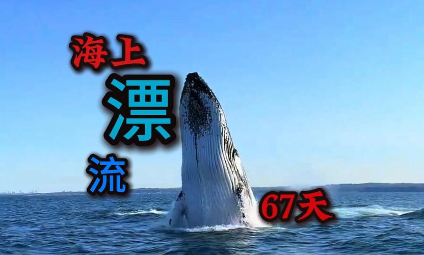2025澳门天天开好彩大全回顾和男子海上漂流7小时与男子海上漂流7小时视频