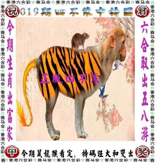 新闻中心 第11页