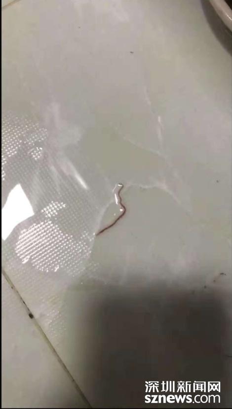 新澳天天彩免费大全和自来水中含活体虫与自来水中含活体虫吗