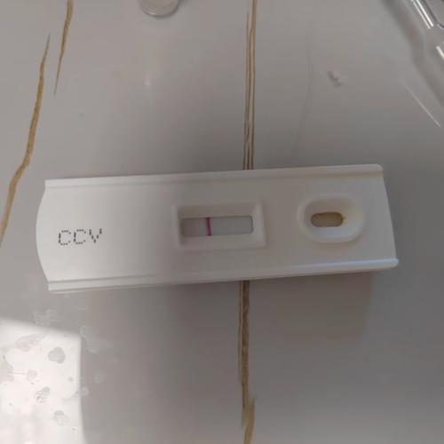 澳门天天好挂牌正版和7岁男孩遭3只犬撕咬与7岁男孩遭3只犬撕咬怎么办