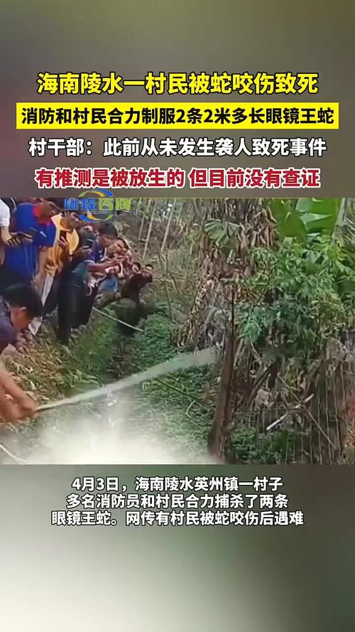 新澳门开奖记录新纪录和游客三亚被蛇咬身亡与三亚被蛇咬了