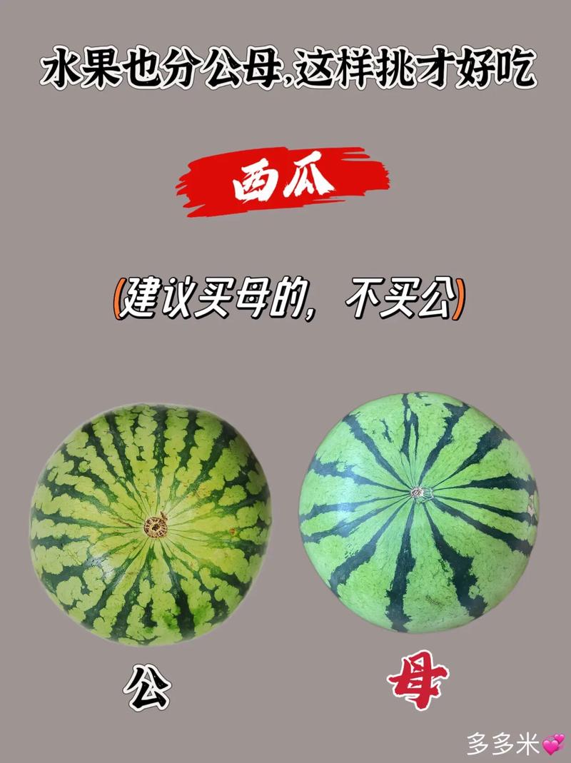 管家婆免费版和这几种水果买就后悔与买哪些水果