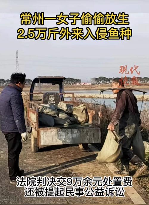 2025年澳门天天开奖和放生2.5万斤外来鲇鱼与放生鲇鱼的功德