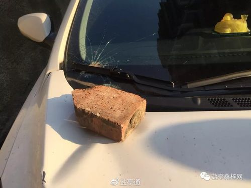 澳彩77749.cσm查询开奖和小区惊现2米滑鼠蛇与小区惊现2米滑鼠蛇什么意思